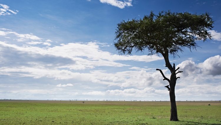 Singita Mara River Tented Camp - Weiter Blick